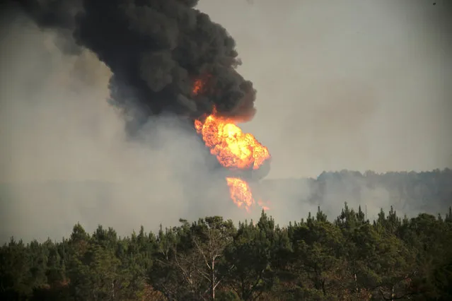 Flames shoot into the sky from a gas line explosion in western Shelby County, Alabama, U.S., October 31, 2016. (Photo by Marvin Gentry/Reuters)