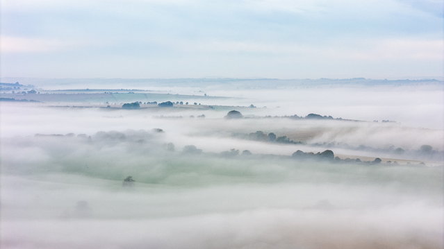 A drone shot of farmland near Odstock village, Salisbury, UK this morning, October 2, 2025. (Photo by Martin Cook/South West News Service)