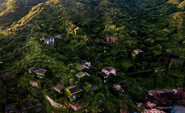 This picture taken on June 1, 2018 shows abandoned village houses covered with overgrown vegetation in Houtouwan on Shengshan island, China' s eastern Zhejiang province. (Photo by Johannes Eisele/AFP Photo)