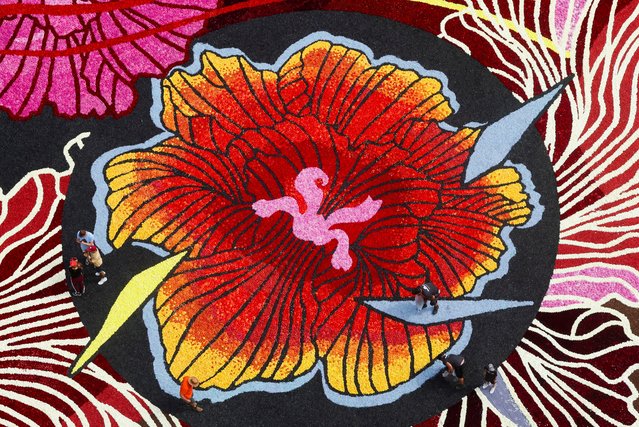 A 1,680-square-meter “Art Nouveau” theme flower carpet, made by a team of about 100 gardeners using hundreds of thousands of dahlias and begonias, is seen at Brussels' Grand Place, Belgium on August 15, 2024. (Photo by Yves Herman/Reuters)