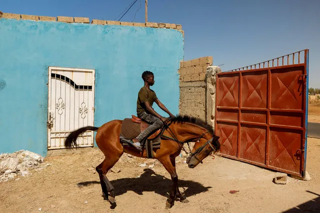 Fallou Diop, 19, a jockey, rides a young mare called Raissa Betty, whom he trains to compete with in the future, out of the Lambafar stable, in Niaga, Rufisque department, Senegal, January 27, 2021. “It's the elders who taught us everything since we were young, and that's how I became passionate about horses”, Diop said. (Photo by Zohra Bensemra/Reuters)