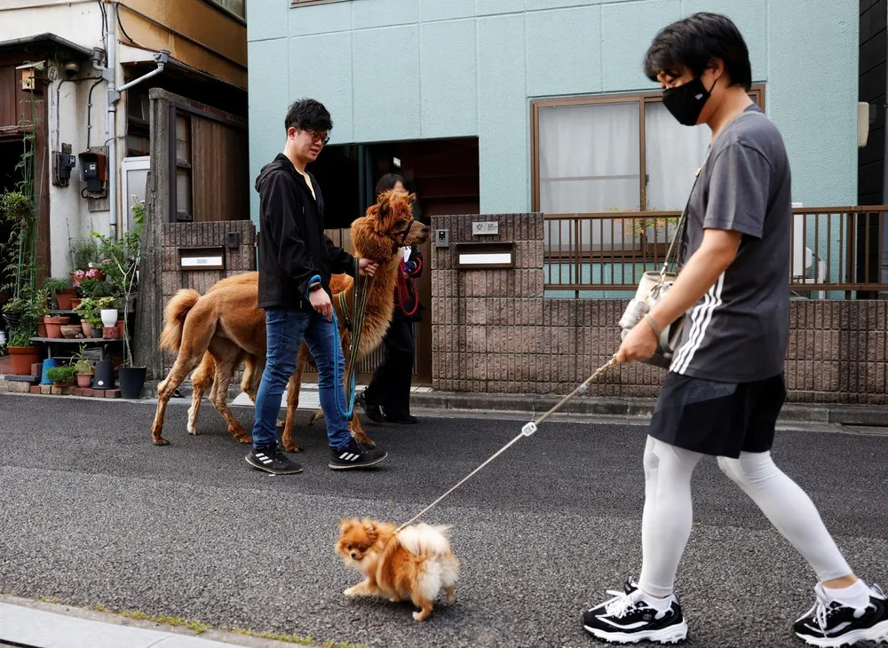 A Look at Life in Japan, Part 2/2