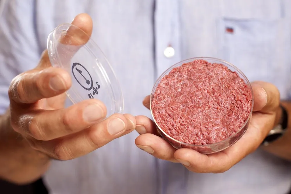 World's First Lab-Grown Burger Tested in London