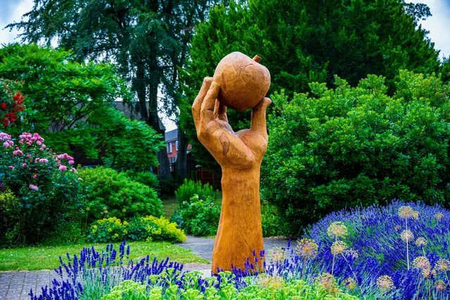 A recently unveiled sculpture called Isaac's Apple in Wyndham Park, Grantham, UK on July 4, 2023. (Photo by Matt Limb OBE/Alamy Live News)