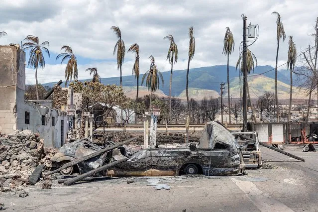 Burned palm trees and destroyed cars and buildings in the aftermath of a wildfire in Lahaina, western Maui, Hawaii on August 11, 2023. The death toll in Hawaii's wildfires rose to 99 and could double over the next 10 days, the state's governor said August 14, as emergency personnel painstakingly scoured the incinerated landscape for more human remains. Last week's inferno on the island of Maui is already the deadliest US wildfire in a century, with only a quarter of the ruins of the devastated town of Lahaina searched for victims so far. (Photo by Moses Slovatizki/AFP Photo)