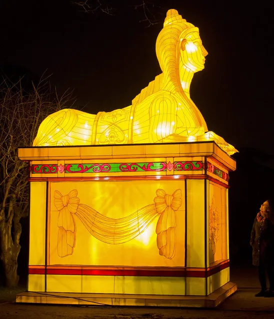 A woman poses for a photograph alongsie a sphynx light sculpture during a photocall to promote the Magical Lantern Festival at Chiswick House Gardens in west London on January 29, 2016. (Photo by Justin Tallis/AFP Photo)