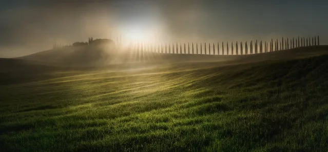 The overall winner of the competition was an image shot on a spring morning in Tuscany, Italy. (Photo by Veselin Atanasov/Epson International Pano Awards 2018)