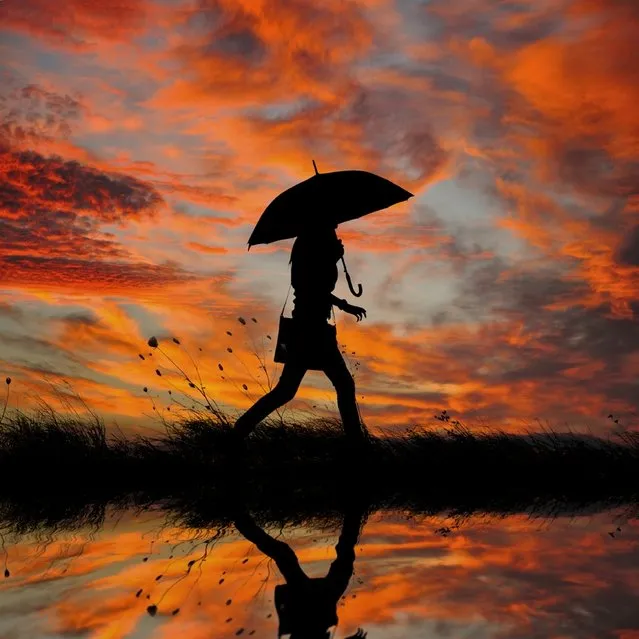 “Rush hour”. (Photo by Ionut Caras)