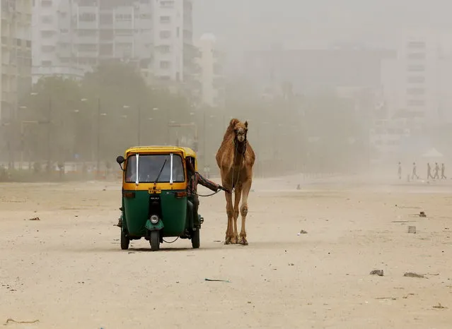 A man pulls his camel as he sits in an auto rickshaw during a dust storm in the western Indian city of Ahmedabad March 29, 2015. (Photo by Amit Dave/Reuters)