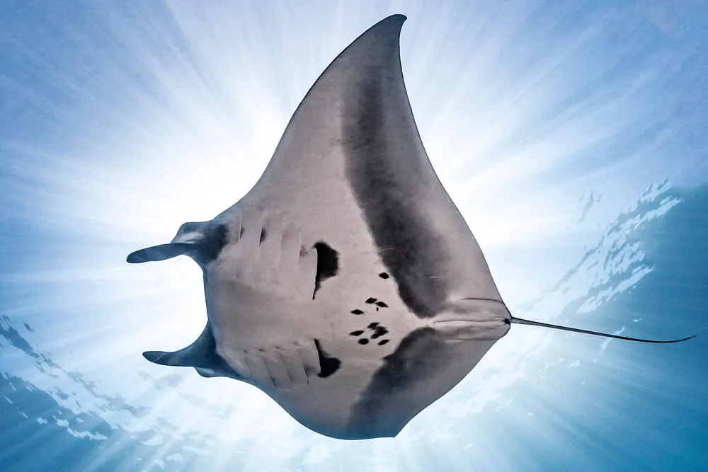 Some Photos: Underwater