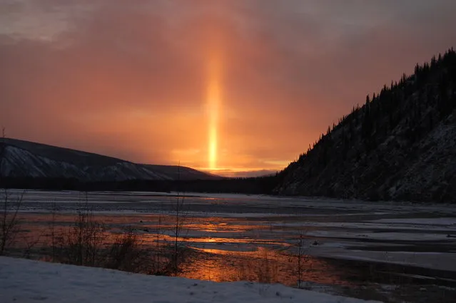 “Amazing Midwinter Sunset (4:30pm)”. November 6th, 2013 – at approximately 4:15 pm we were all watching this amazing batman like beam coming over the dyke on the upstream side of the Yukon River which was just beginning to freeze. I grabbed a camera, made my way over towards the river and discovered this amazing scene. Photo location: Yukon River, Dawson City, Yukon Territory, Canada. (Photo and caption by Andrea Magee/National Geographic Photo Contest)