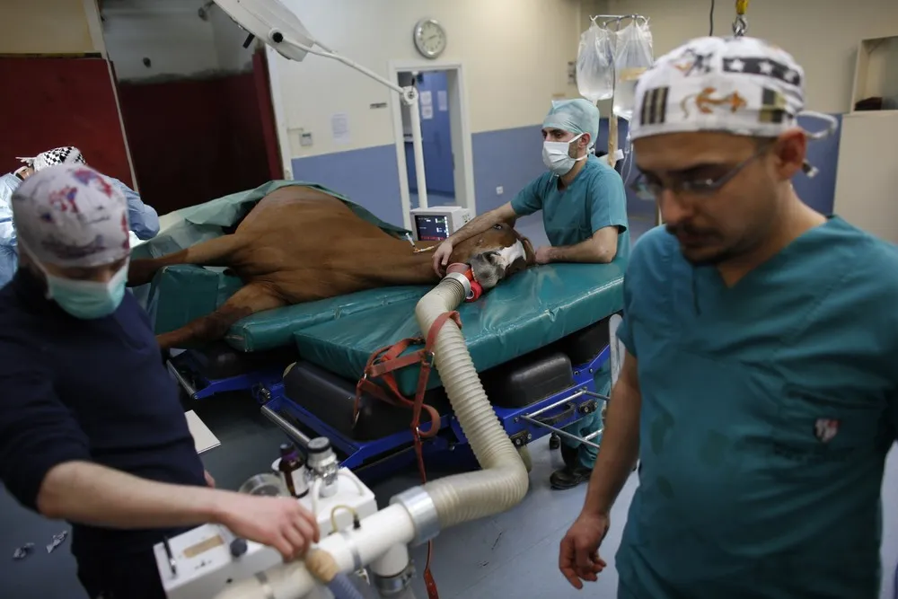 Racing Back to Health