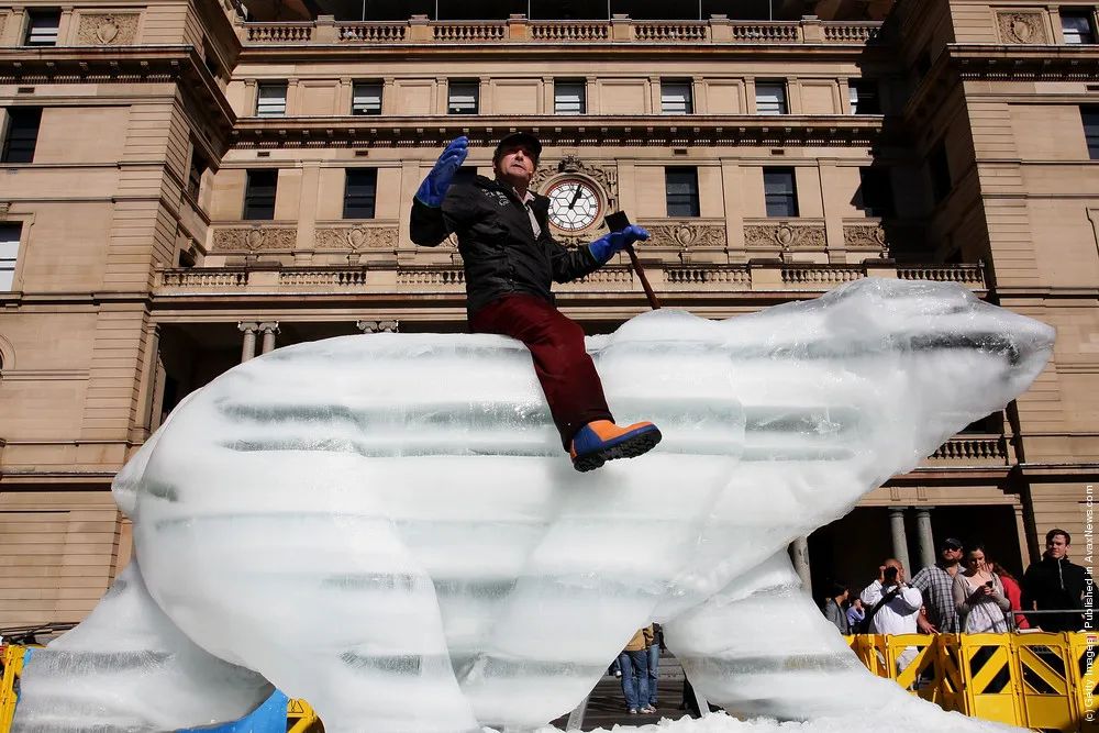 Ice Bear Brings Climate Change Message To Sydney
