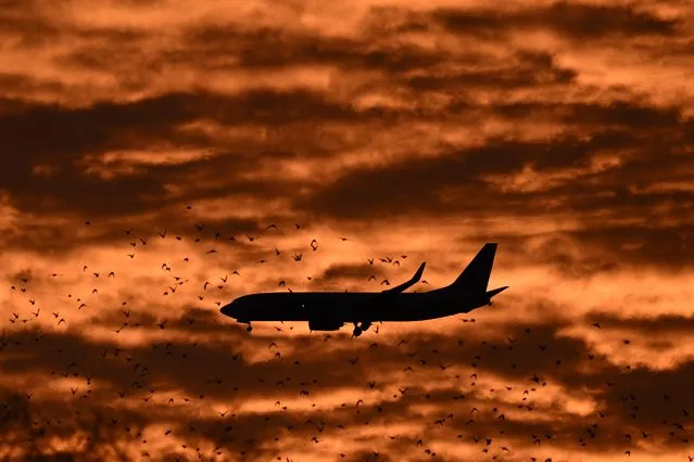 An airplane and birds fly at sunset in Washington, DC, on December 7, 2023. (Photo by Brendan Smialowski/AFP Photo)