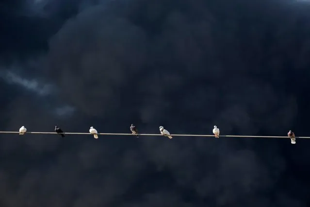 Pigeons stand on an electrical wire as firefighters work to extinguish a fire in an oil facility in the southern town of Zahrani, south of the port city of Sidon, Lebanon, Monday, October 11, 2021. A huge fire broke out at an oil facility in southern Lebanon's coastal town of Zahrani, but the cause was not immediately known. (Photo by Hassan Ammar/AP Photo)