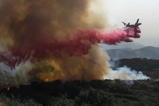 An air tanker drops retardant on a wildfire Wednesday, October 13, 2021, in Goleta, Calif. A wildfire raging through Southern California coastal mountains threatened ranches and rural homes and kept a major highway shut down Wednesday as the fire-scarred state faced a new round of dry winds that raise risk of flames. The Alisal Fire covered more than 22 square miles (57 square kilometers) in the Santa Ynez Mountains west of Santa Barbara. (Photo by Ringo H.W. Chiu/AP Photo)
