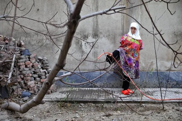 In this picture taken on Thursday, January 28, 2015, Zohreh Etezadossaltaneh, who was born without arms, waters her garden by holding the hose with her foot in Tehran, Iran. “Each body might have some limitations and deficiencies. But if you have a pure, elevated soul I think the body won't matter”, she said. (Photo by Ebrahim Noroozi/AP Photo)