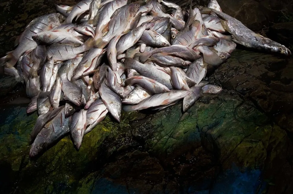 The Tiny Fishing Community on Migingo Island