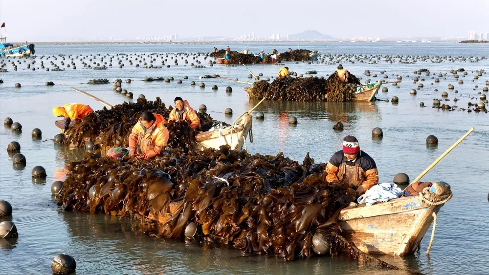 A Look at Life in China