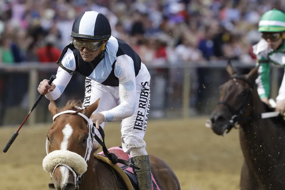 Sport last Week, Part 1/3