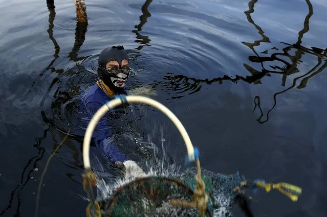 Tandy reaches for his net before collecting green mussels in Jakarta Bay, Indonesia, April 20, 2016. (Photo by Reuters/Beawiharta)