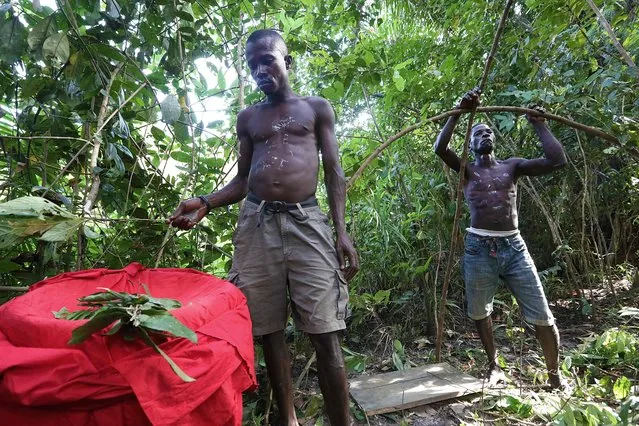 Hassan Kamara and Pa Yamba Soko communicate with the spiritual realm before performing a ceremony in the witch forest of Matru village on December 1, 2018. (Photo by Lynn Rossi/AFP Photo)