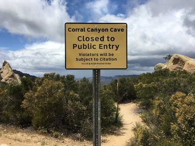 A sign warns visitors of the closure of the Corral Canyon Cave in Malibu, Calif., Friday, May, 6, 2016. (Photo by Damian Dovarganes/AP Photo)
