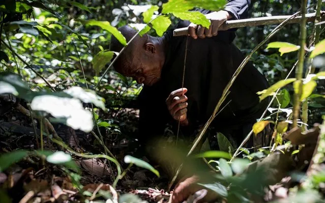 Mohamed Esimbo Matongu checks a trap in the forest near the city of Mbandaka, Democratic Republic of the Congo, April 3, 2018. (Photo by Thomas Nicolon/Reuters)