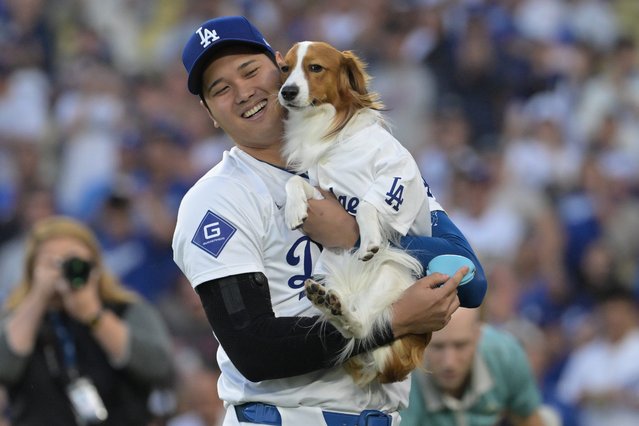 Los Angeles Dodgers designated hitter Shohei Ohtani (17) with his dog Decoy after he delivered he first pitch before the game against the Baltimore Orioles at Dodger Stadium on August 28, 2024. (Photo by Jayne Kamin-Oncea/USA TODAY Sports)