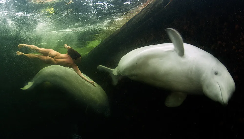 [Oldies] Naked Female Two-Time World Champion Free Diver Swims with Whales