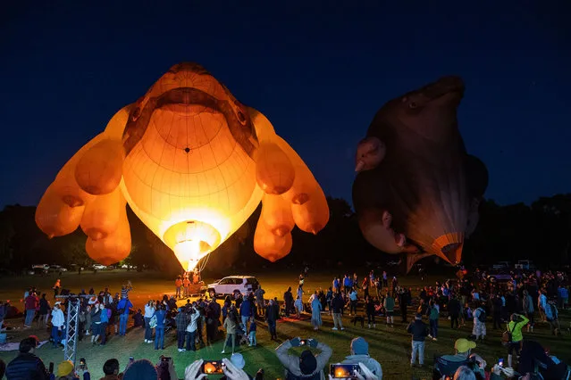 Skywhale and Skywhalepapa, created by artist Patricia Piccinini are seen being inflated before flying over Melbourne on March 19, 2022 in Melbourne, Australia. It is the first time Piccinini's work Skywhales: Every Heart Sings has flown over Melbourne, as part of MPavilion. (Photo by Asanka Ratnayake/Getty Images)