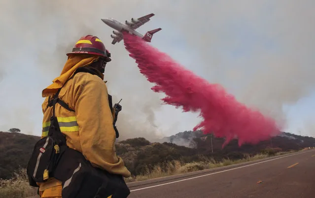 Upland Fire Capt. Joe Burna watches as a tanker drops fire retardant to stop a wildfire from jumping over Highway 94 near Potrero, Calif., on Monday, June 20, 2016. (Photo by Hayne Palmour IV/San Diego Union-Tribune via AP Photo)