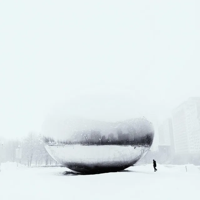 Cocu Liu of Illinois won first place in the seasons category in the 2014 iPhone Photography Awards. (Photo by Cocu Liu)