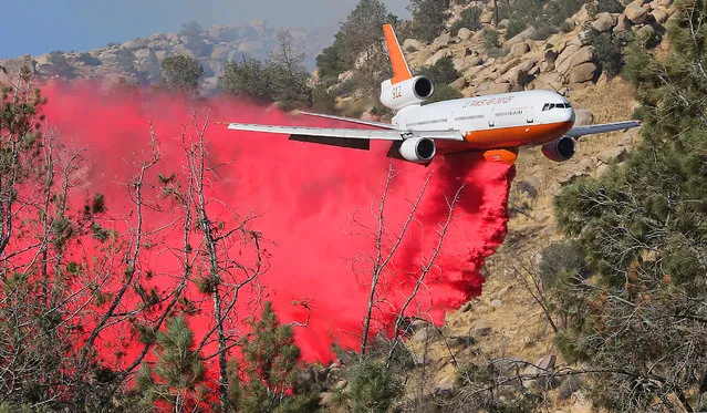 The 10 Tanker Air Carrier DC-10 drops a load of fire retardant on the Erskine fire near Lake Isabella, Calif., Thursday, June 23, 2016. It carries 11,600 gallons of fire retardant per load. Multiple resources were called to battle the blaze. (Photo by Casey Christie/The Bakersfield Californian via AP Photo)