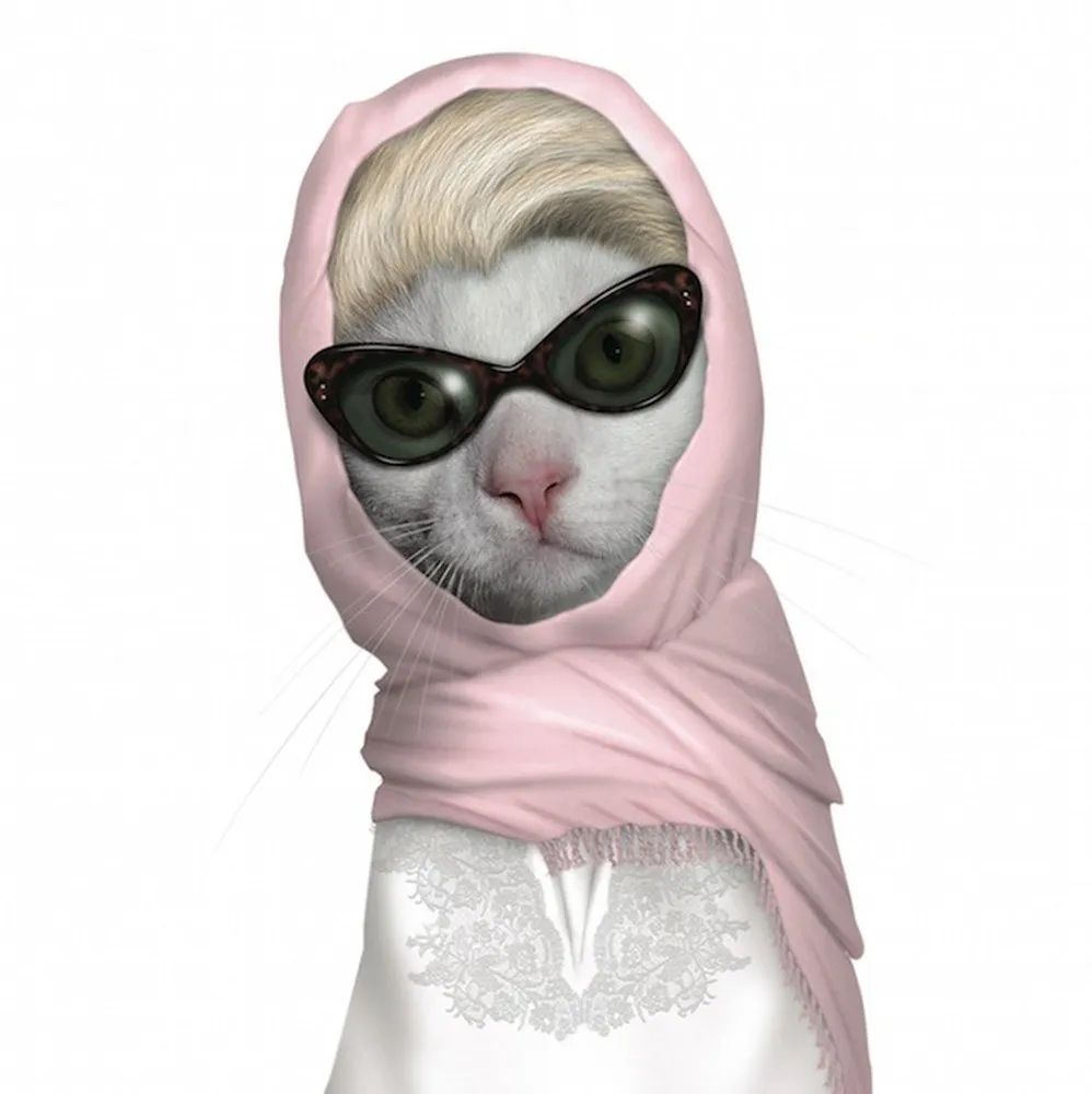 Famous Faces Animals