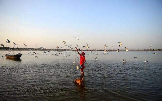 A local resident feeds seagulls at Arail Ghat during a government-imposed nationwide lockdown as a preventive measure against the COVID-19 coronavirus, in Allahabad on April 7, 2020. (Photo by Sanjay Kanojia/AFP Photo)
