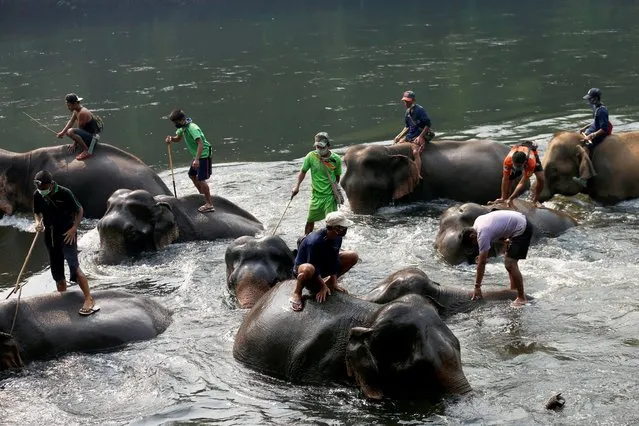 Migrant workers from Myanmar give a shower to elephants at an elephant camp closed to tourists due to the nationwide lockdown to prevent the spread of the coronavirus, in Kanchanaburi, Thailand April 3, 2020. (Photo by Soe Zeya Tun/Reuters)