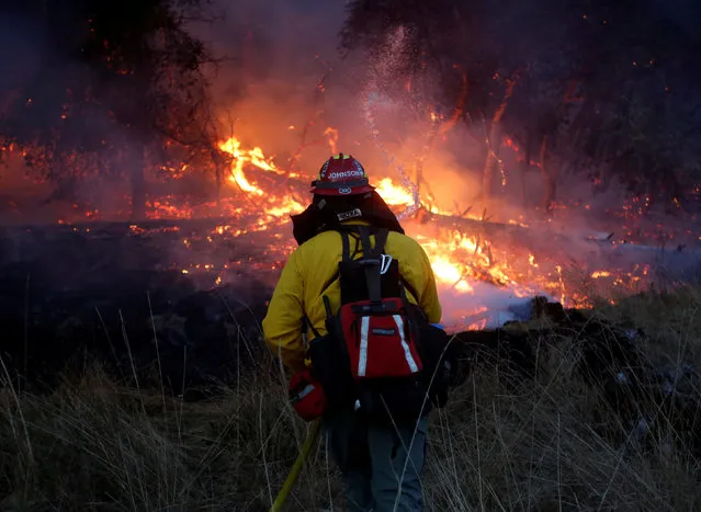 Firefighters battle a wildfire near Santa Rosa, California, U.S., October 14, 2017. (Photo by Jim Urquhart/Reuters)