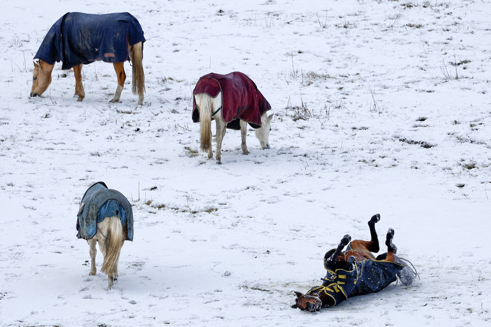 Pictures of the Year 2023, Part 207/224