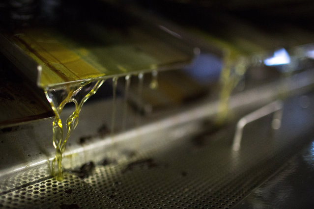 Liquid cocoa butter pours from a machine during the early stages of confectionary manufacture at the Rossiya chocolate factory, operated by Nestle SA, in Samara, Russia, on Tuesday, September 16, 2014. (Photo by Andrey Rudakov/Bloomberg via Getty Images)