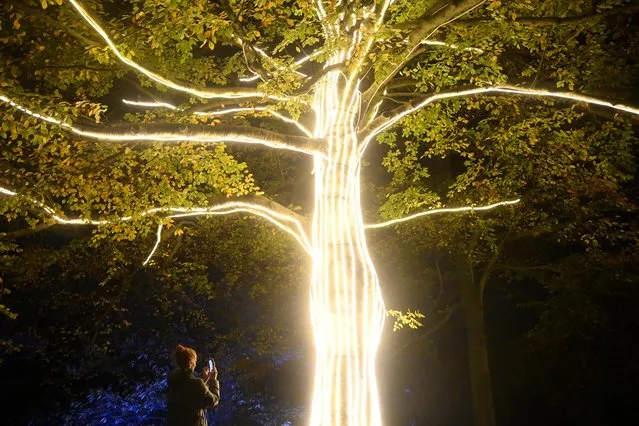 Visitors view light installations as part of the Christmas illuminations trail at Kew Gardens, in London, Britain on November 15, 2022. (Photo by Toby Melville/Reuters)