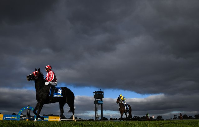 Jordan Childs riding Our Red Morning after unplaced finish in Race 5, the Sportsbet Same Race Multi Handicap during Melbourne Racing at Sandown on June 04, 2025 in Melbourne, Australia. (Photo by Vince Caligiuri/Getty Images)