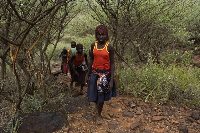 Reuters photographer Siegfried Modola gained access to a circumcision ceremony in rural Kenya for young girls of the Pokot tribe, in Baringo County. Here: Pokot girls walk towards their homes prior to the beginning of their circumcision ceremony in a village about 80 kilometres from the town of Marigat in Baringo County, Kenya, October 16, 2014. (Photo by Siegfried Modola/Reuters)
