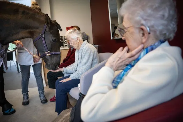 A pensioner caresses Dounka, a 10 years old mare, used to work with old people at the MARPA (Maisons d'Accueil et de Residence pour l'Autonomie) “Pays de Courbet” in Ornans, eastern France, on March 21, 2023. (Photo by Sebastien Bozon/AFP Phoot)