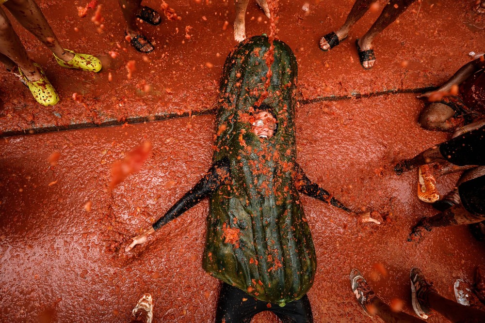 Pictures of the Year 2024, Part 149/240