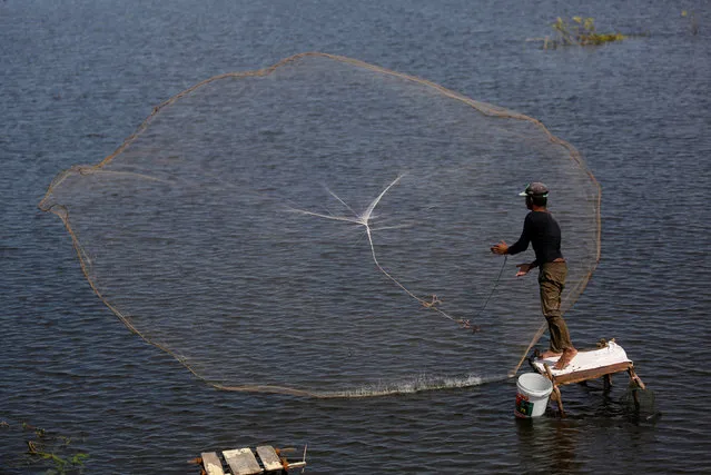 A man casts a fishing net into a lake in Kandal province, Cambodia, November 1, 2016. (Photo by Samrang Pring/Reuters)