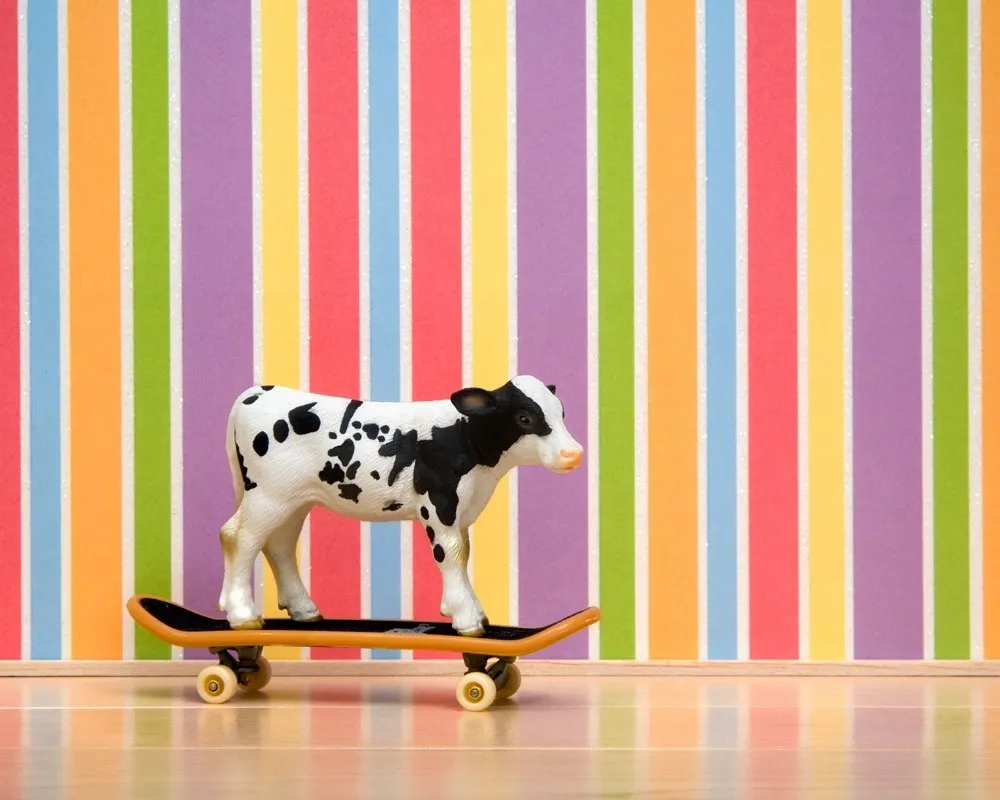 Wild Life by Jeff Friesen: Animals Meet Interiors