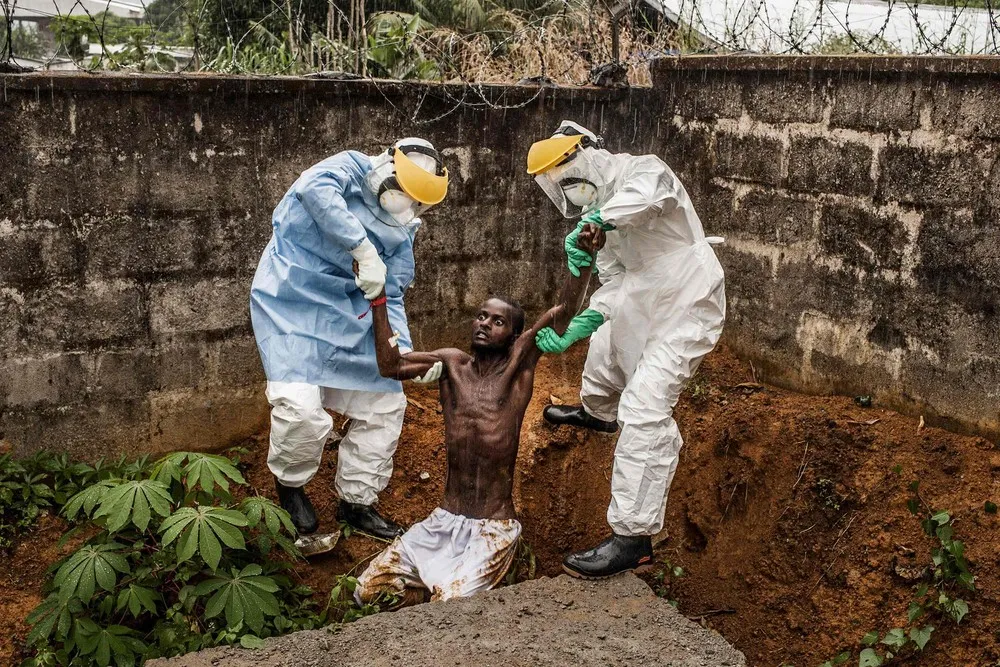 Winners from the World Press Photo Contest 2015