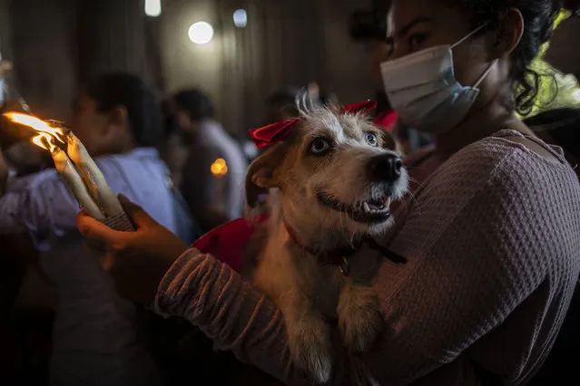 A woman carries her dog to be blessed by Saint Lazarus, in Monimbo neighbourhood in Masaya, about 35 km south of Managua, on March 21, 2021. According to tradition in Nicaragua, faithfuls ask Saint Lazarus for the health of their dogs and pay these favours back by bringing their pets dressed in costumes to attend mass in honour of the saint. (Photo by Inti Ocon/AFP Photo)