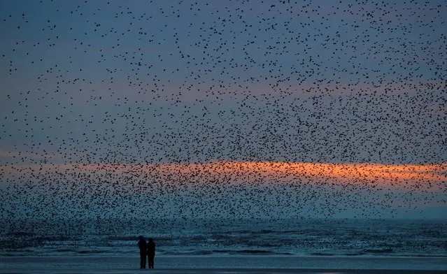 People watch a starling murmuration at dusk on the beach at Blackpool, Britain, March 16, 2021. (Photo by Phil Noble/Reuters)